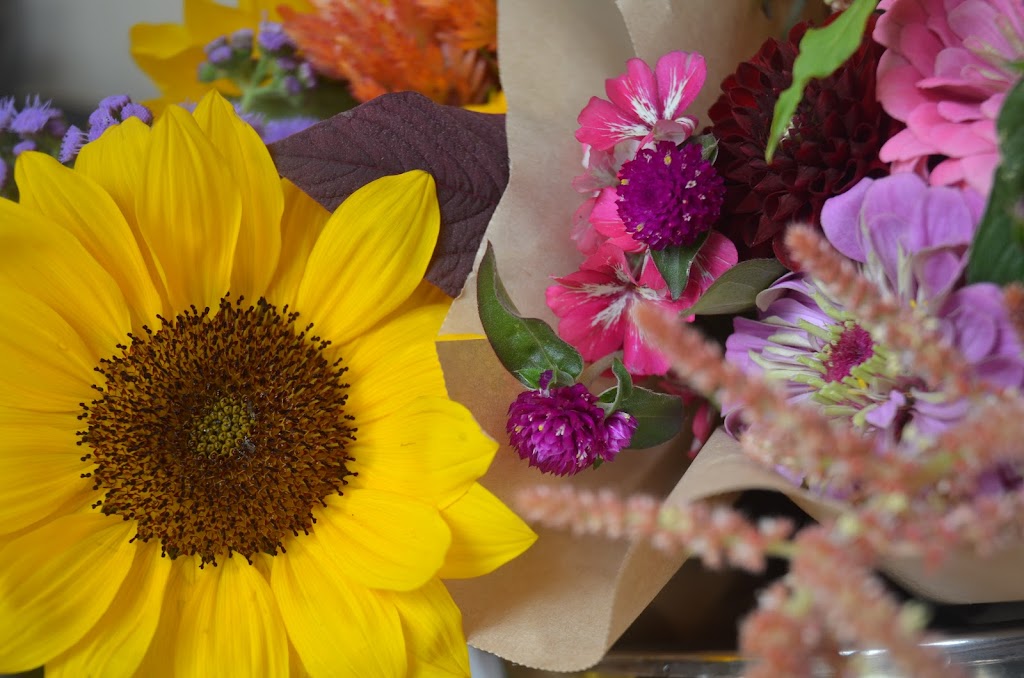 HappiLife Farm | 7702 Pemberton Meadows Rd, Pemberton, BC V0N 2L2, Canada | Phone: (604) 932-7844