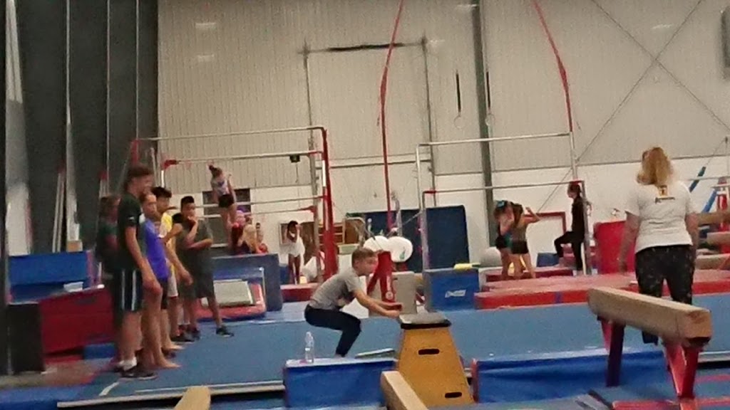 Winstars Gymnastics Training Centre | 8400 Twin Oaks Dr, Windsor, ON N8N 5C2, Canada | Phone: (519) 972-1397