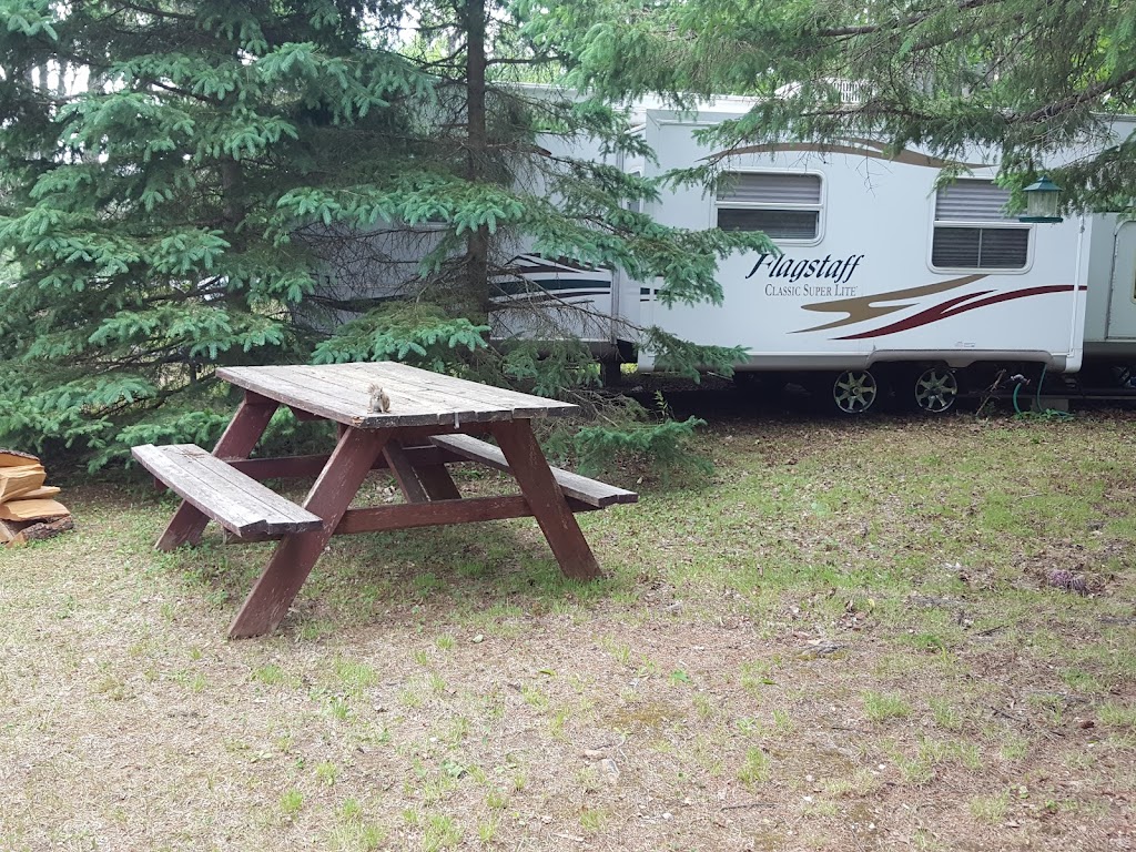 Moonlight Bay Tent & Trailer Park | 1071 Earles Rd, Wilberforce, ON K0L 3C0, Canada | Phone: (705) 448-1690