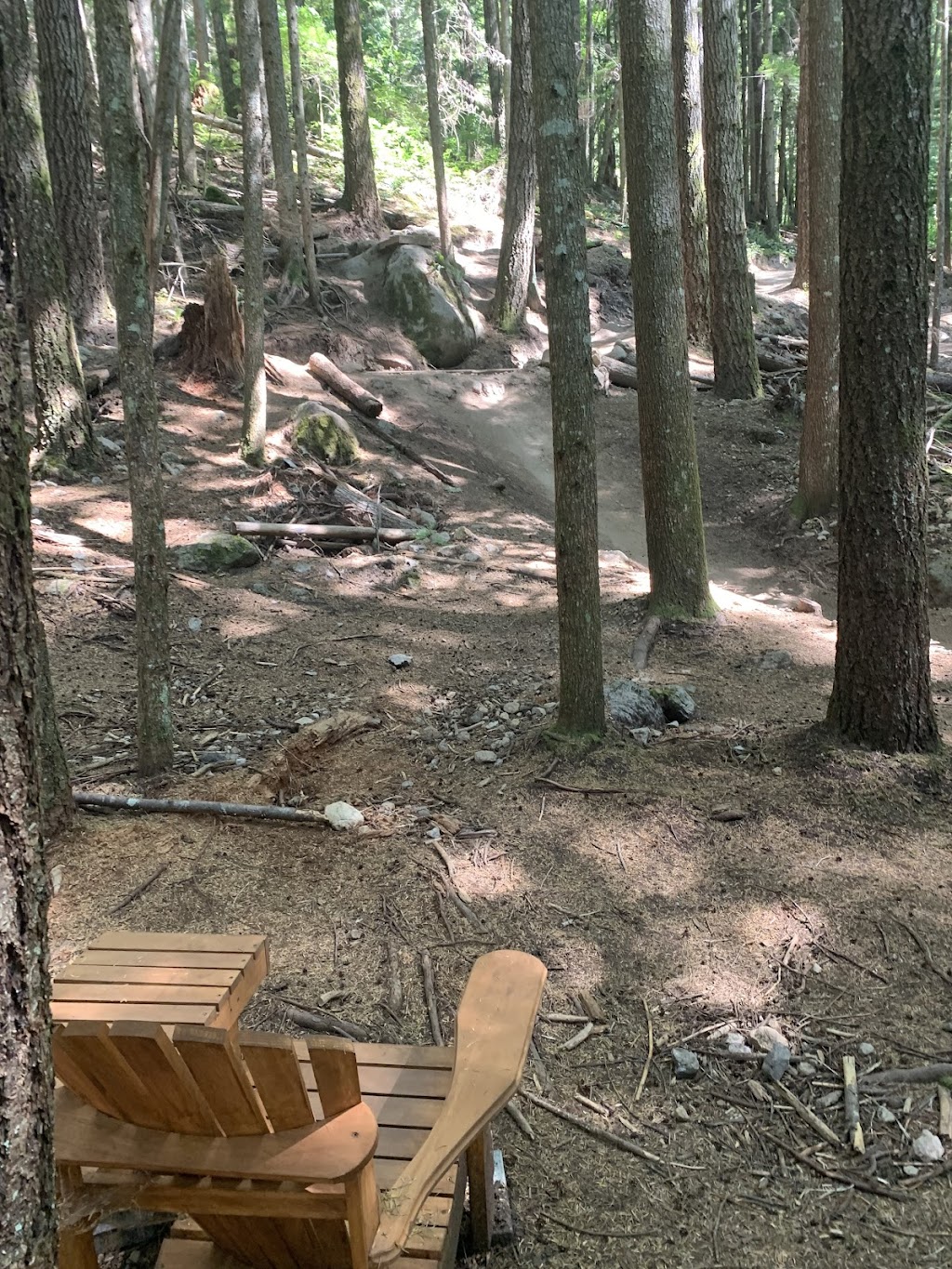 Dialed In Cycling | 1796 Depot Rd E, Squamish, BC V8B 0P6, Canada | Phone: (604) 390-3822