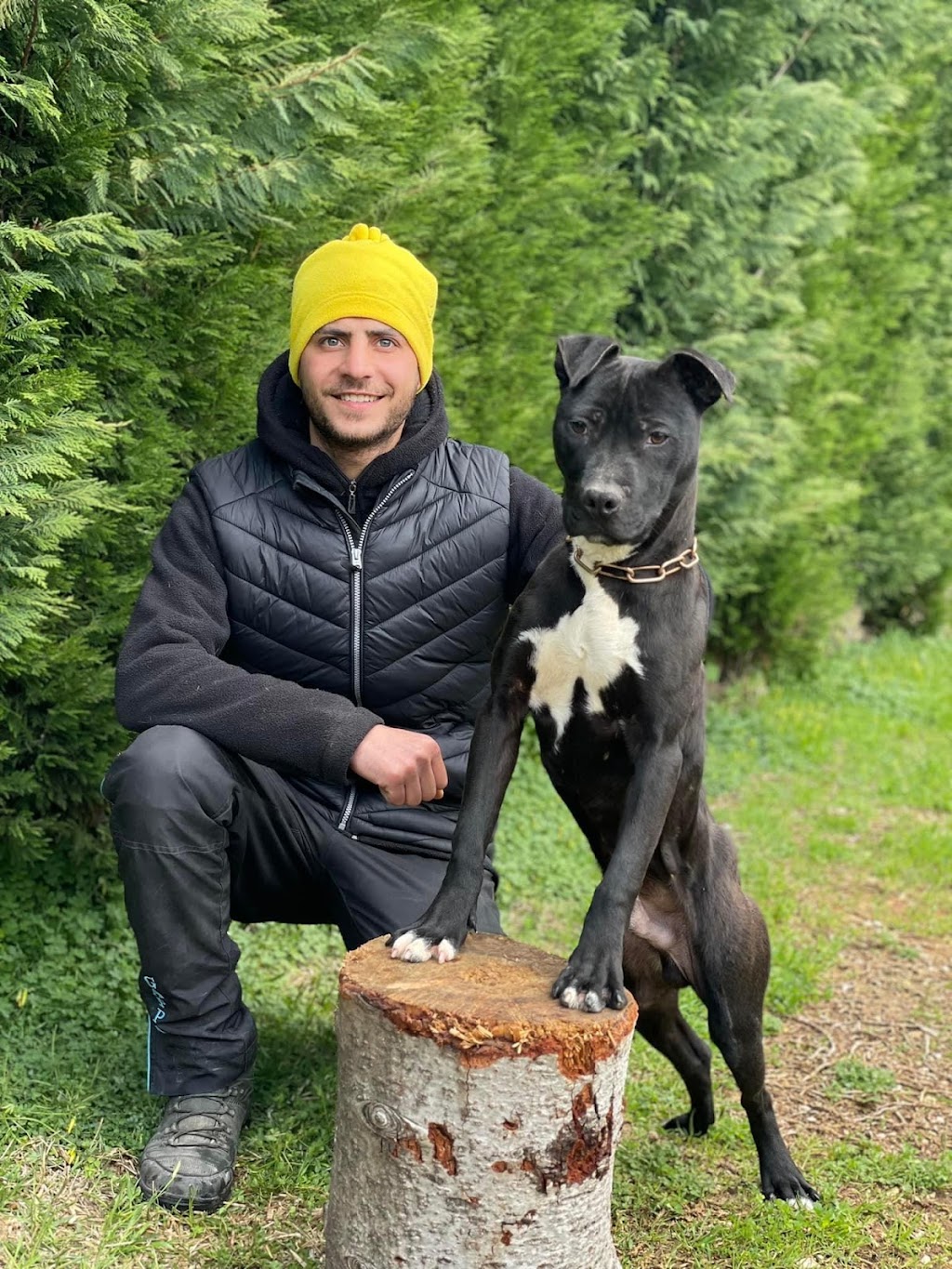 Dog trainer Dog Walker | 206 Ste-Anne Ave., Vanier, ON K1L 7C2, Canada | Phone: (438) 927-1561
