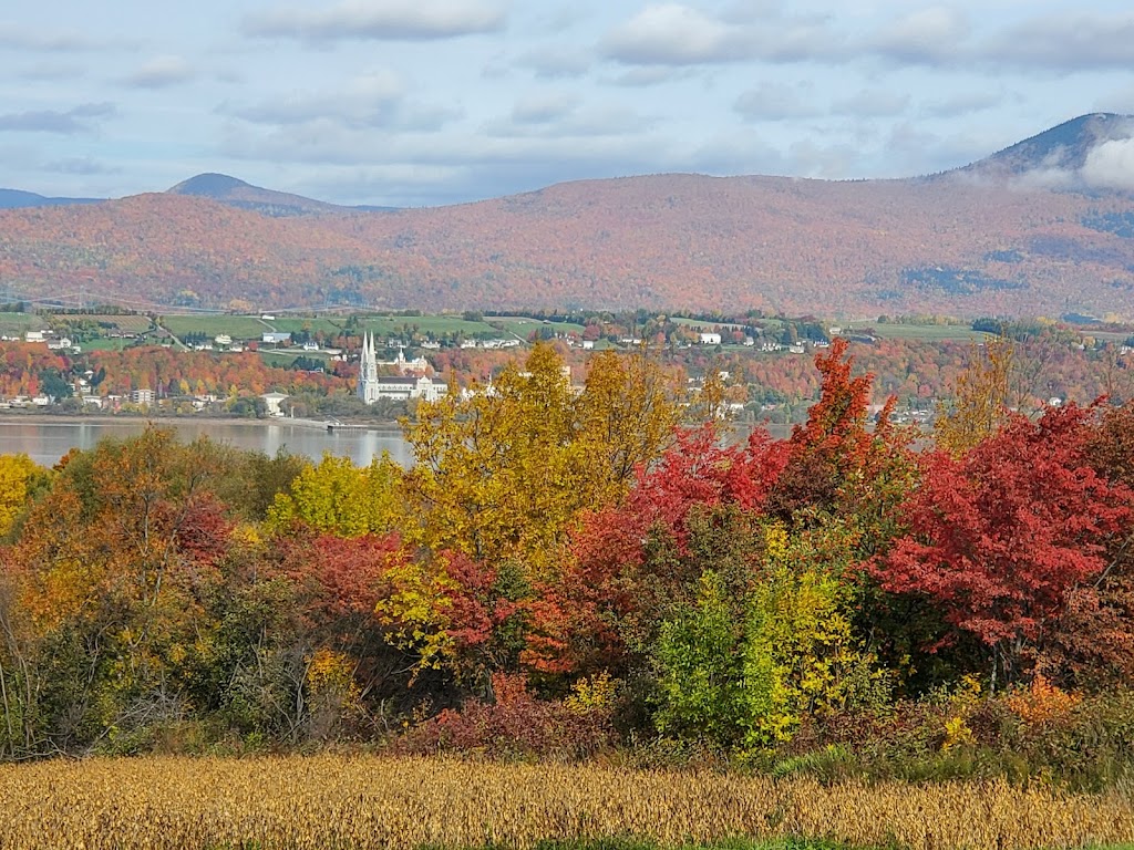 Verger - Ferme Raynald Drouin | 2874 Chem. Royal, Sainte-Famille, QC G0A 3P0, Canada | Phone: (418) 563-1263