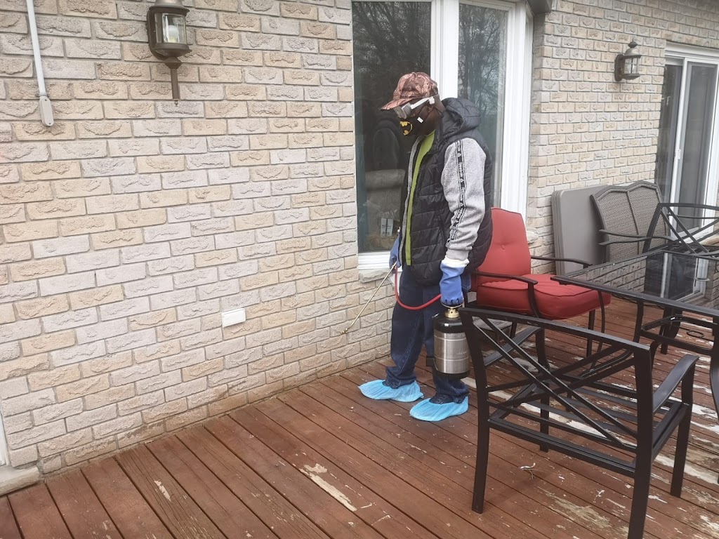 Eco-Friendly Pest Control Inc | 64 Parkview Heights, Trenton, ON K8V 6P5, Canada | Phone: (647) 525-6311