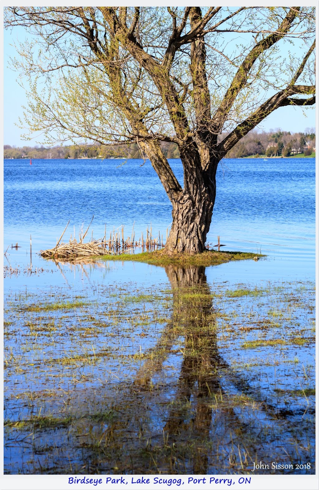 Birdseye Park | 254 Water St, Port Perry, ON L9L 1C4, Canada
