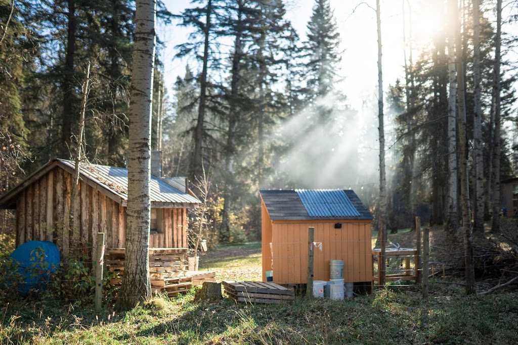 Secret Sanctuary Retreat | 463049, Range Road 22, Westerose, AB T0C 2V0, Canada | Phone: (519) 330-8477