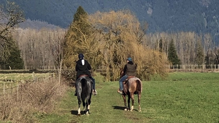 Kemp Equine Training | 49979 Camp River Rd, Chilliwack, BC V2P 6H4, Canada | Phone: (778) 933-2727