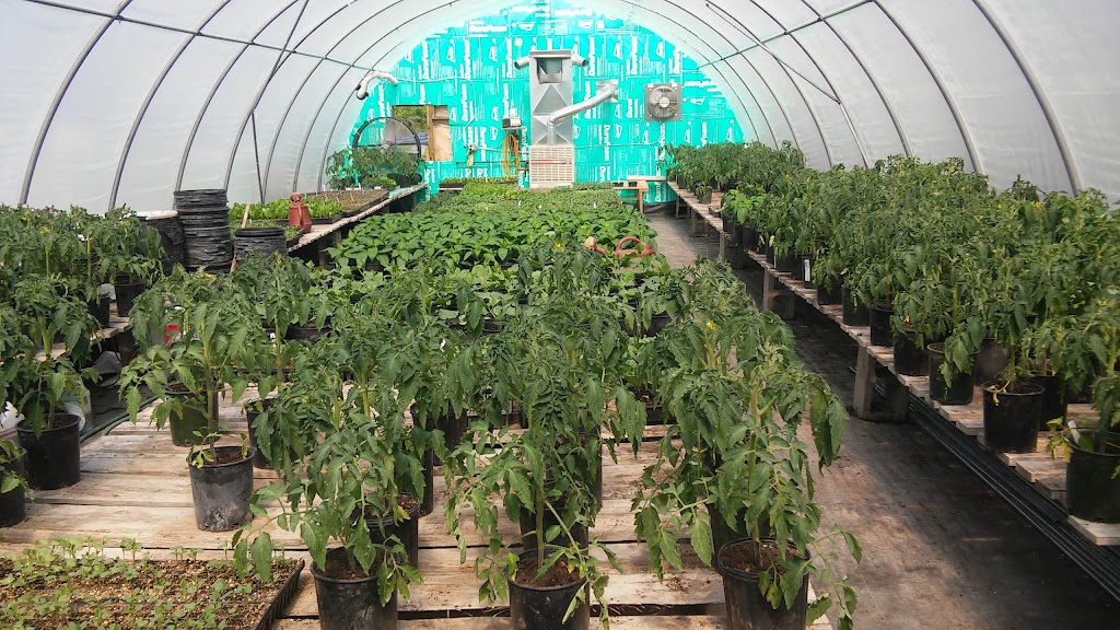 Hnatiuk Gardens | 3850 Mowat Rd, East Saint Paul, MB R2E 1B5, Canada | Phone: (204) 297-0857