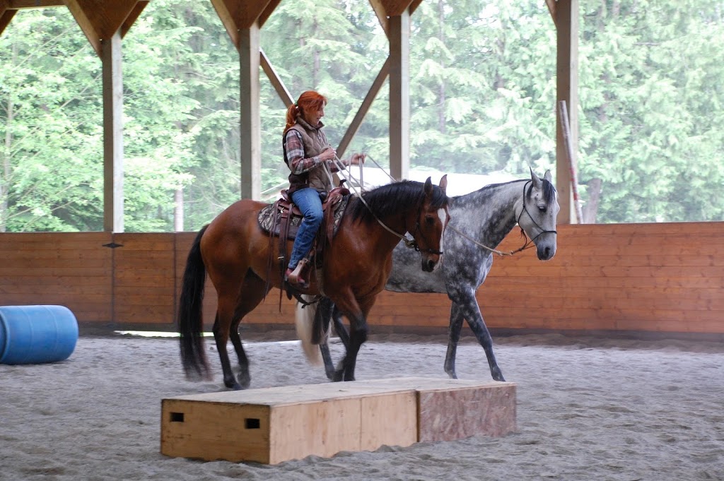 Sandy Lang Horsemanship | 4700 Charlie Spruce Pl, Abbotsford, BC V3G 2K9, Canada | Phone: (604) 850-1243
