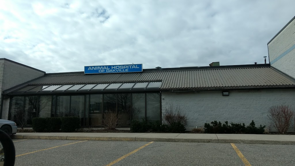 Animal Hospital of Oakville | 234 South Service Rd E, Oakville, ON L6J 2X5, Canada | Phone: (905) 844-3331