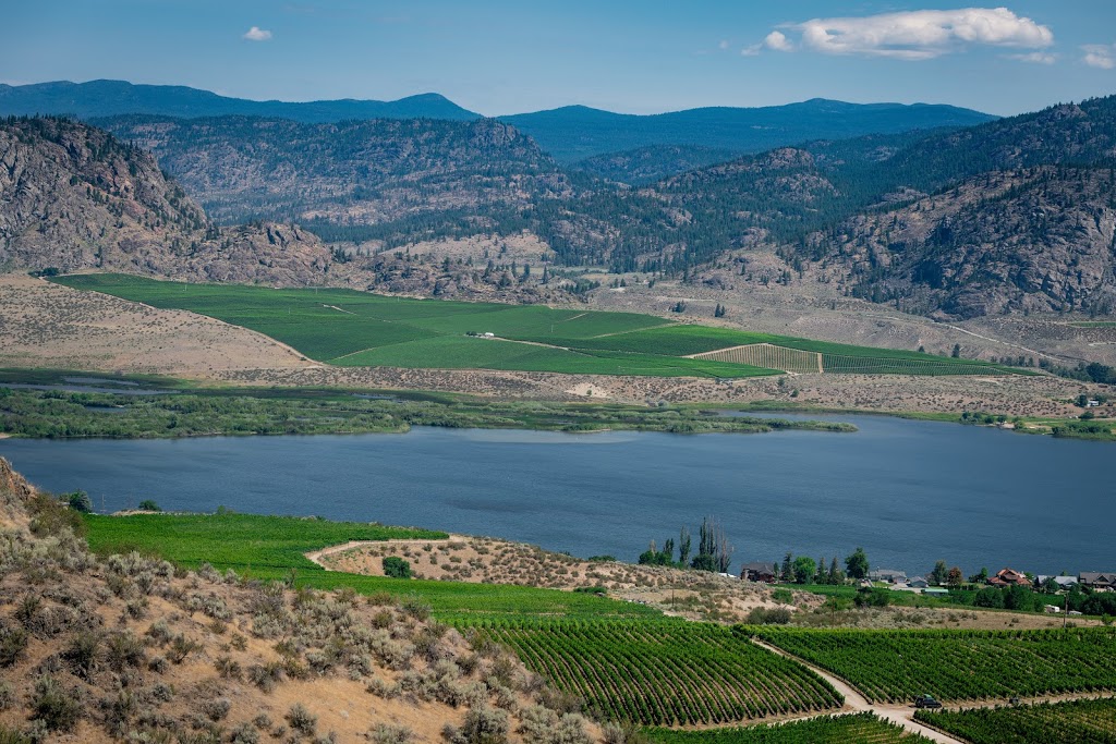 Osoyoos Credit Union | 8312 Main St, Osoyoos, BC V0H 1V0, Canada | Phone: (250) 495-6522