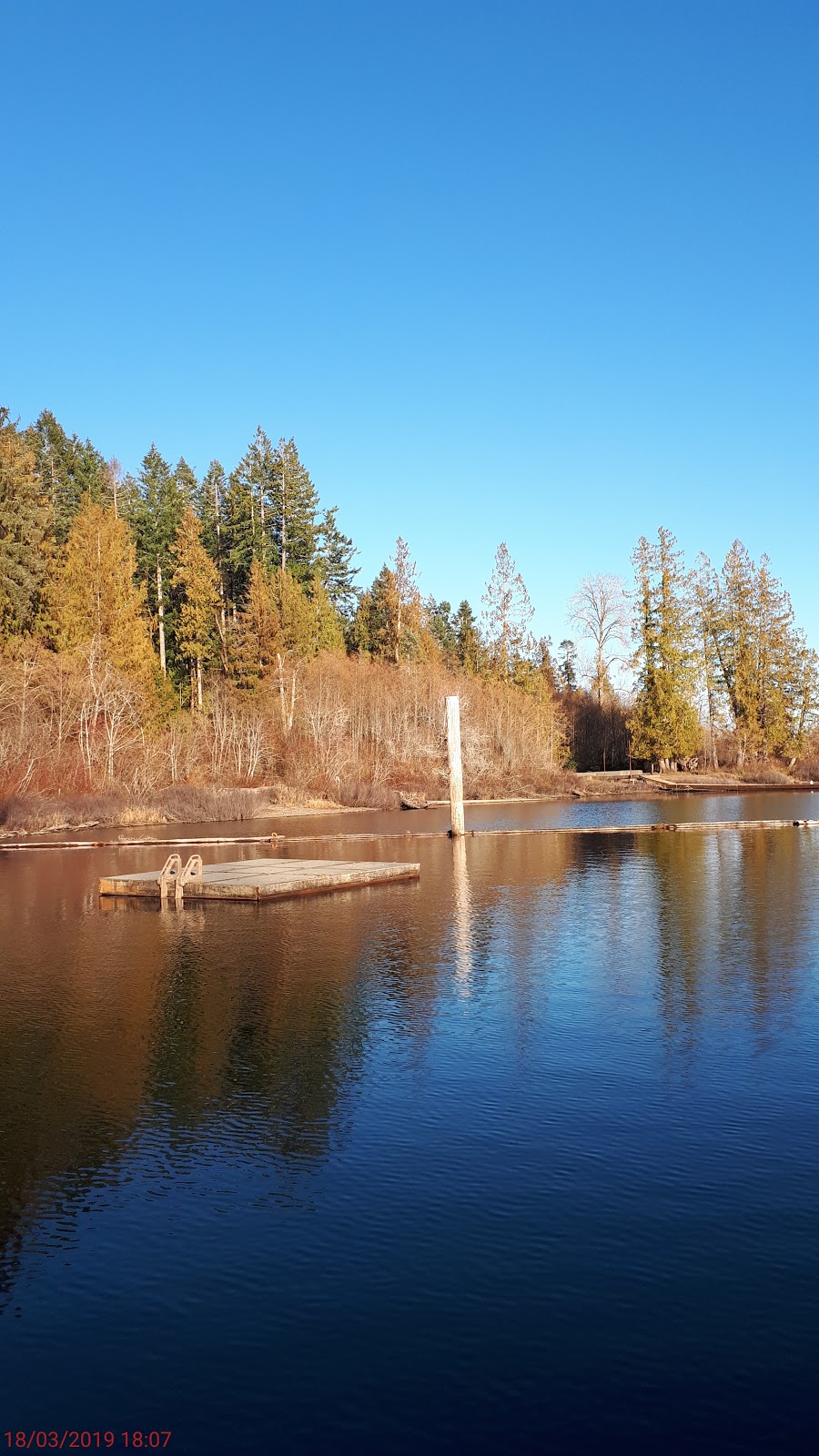Nantree Park | Nantree Rd, Meades Creek Rd, Youbou, BC V0R 1Y0, Canada | Phone: (250) 746-2620