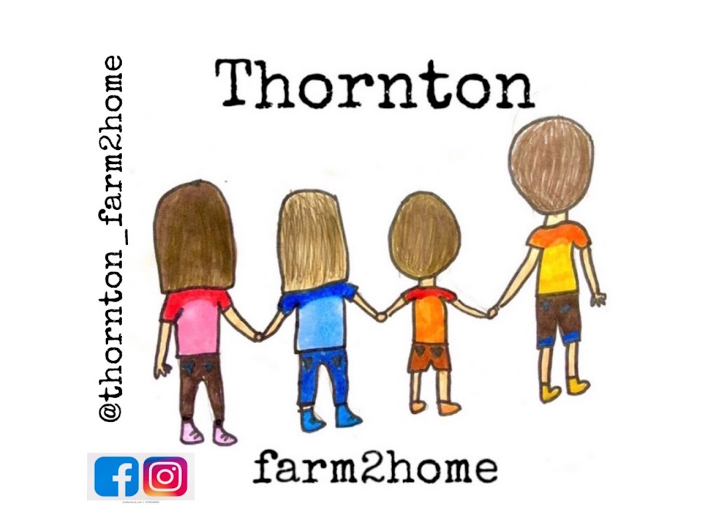 Thornton Farm2Home | 76 Logan Ave, Toronto, ON M4M 2M8, Canada | Phone: (416) 873-5045