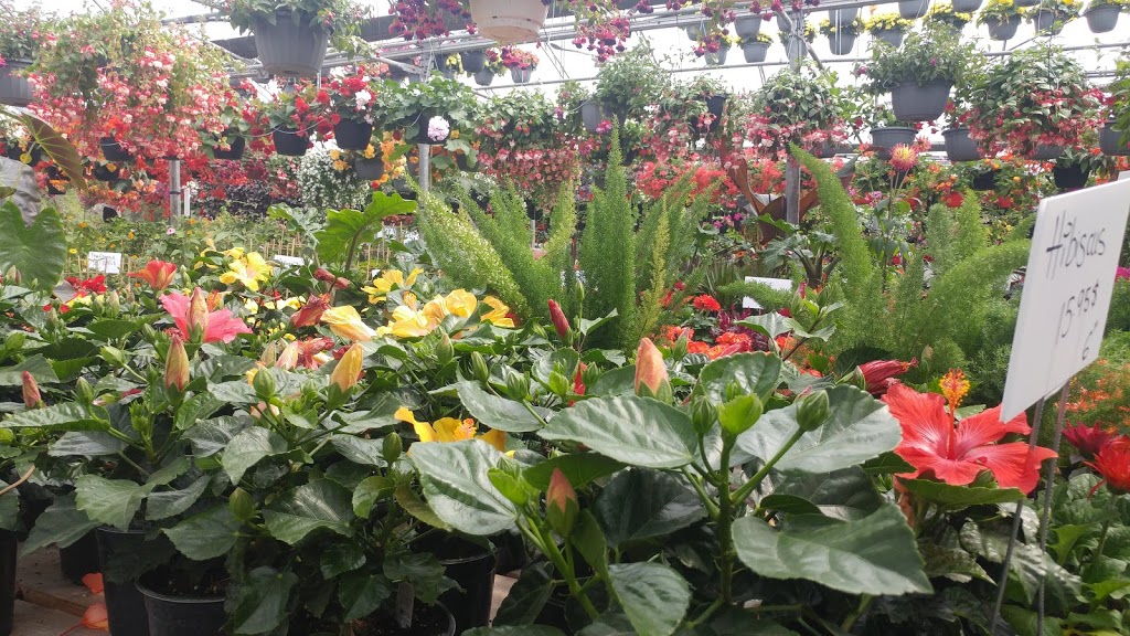 Marché Gariepy | 1417 QC-117, Val-David, QC J0T 2N0, Canada | Phone: (819) 320-0182