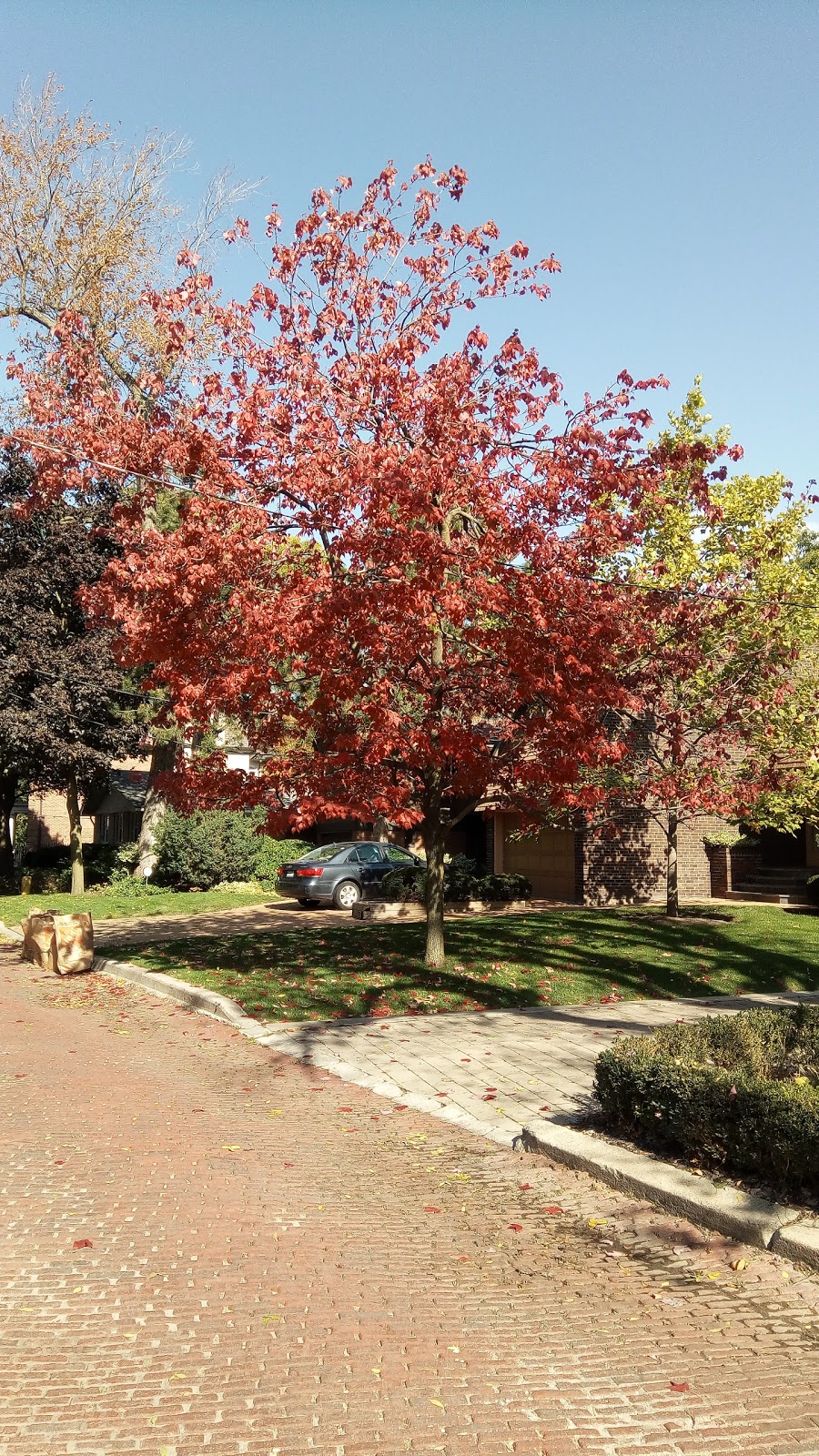 Park Drive Reservation Lands | 185 Mt Pleasant Rd, Toronto, ON M4W 1W2, Canada | Phone: (416) 392-2489