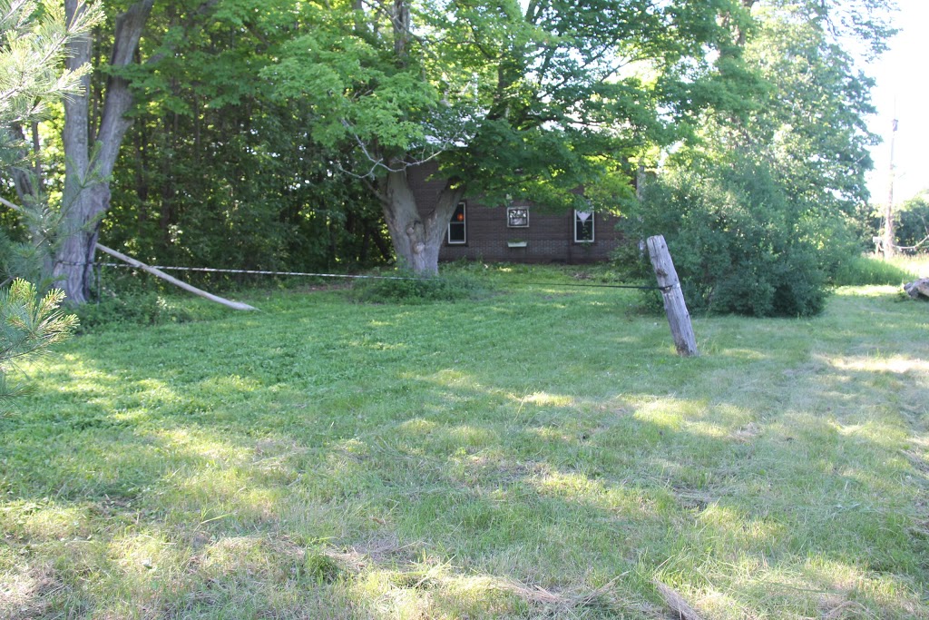 Cedar Grove Organic Farm | 625 Shamrock Rd, Omemee, ON K0L 2W0, Canada | Phone: (705) 799-1728