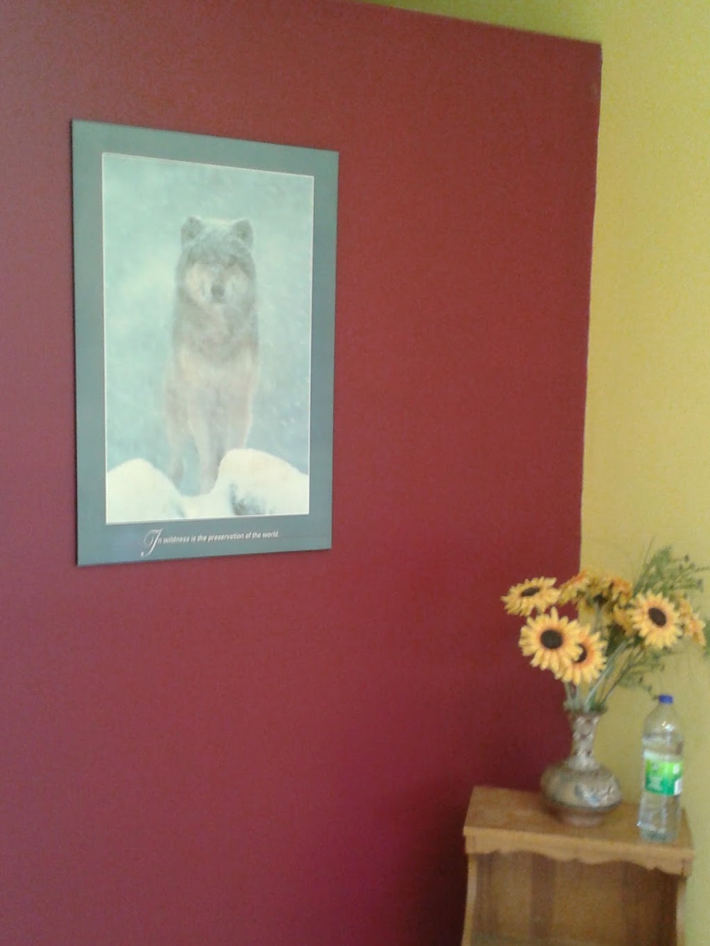 Les Quatre Pattes Propres | 10382 Boul Gouin O, Roxboro, QC H8Y 1S3, Canada | Phone: (514) 969-7387