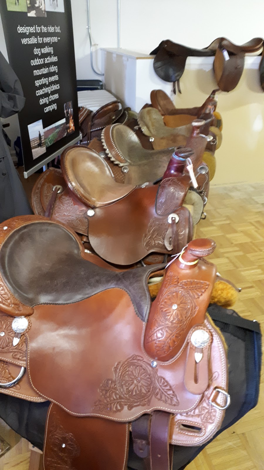 Horsen Around | 7875 48 Ave #6, Red Deer, AB T4P 2K1, Canada | Phone: (403) 356-0166