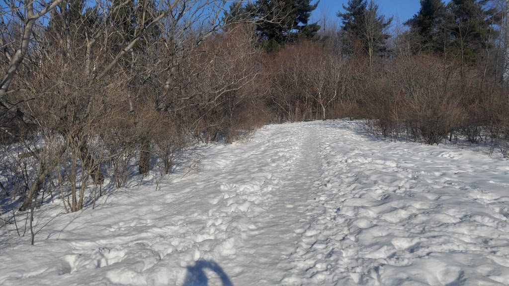 Deevy Pines Park | 65 Stonehaven Dr, Ottawa, ON K2K 1A1, Canada | Phone: (613) 580-2400