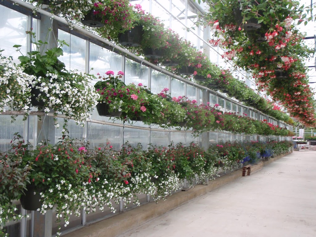 Vaandrager Nurseries | 34040 Farmer Rd, Abbotsford, BC V2S 7M3, Canada | Phone: (604) 855-3430