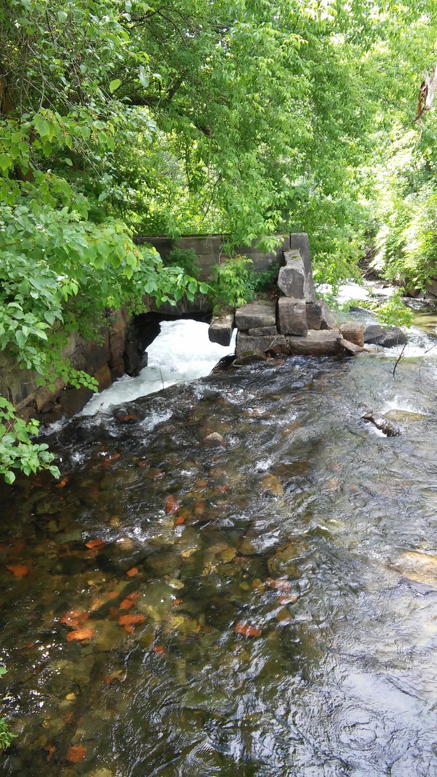 Crystal Lake Falls Historical Association | 97 Water St, Barton, VT 05822, USA