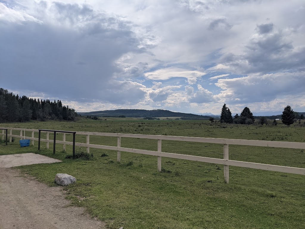 Black Diamond Land & Cattle Co. | Range Rd 25A, Millarville, AB T0L 1K0, Canada | Phone: (403) 408-7585