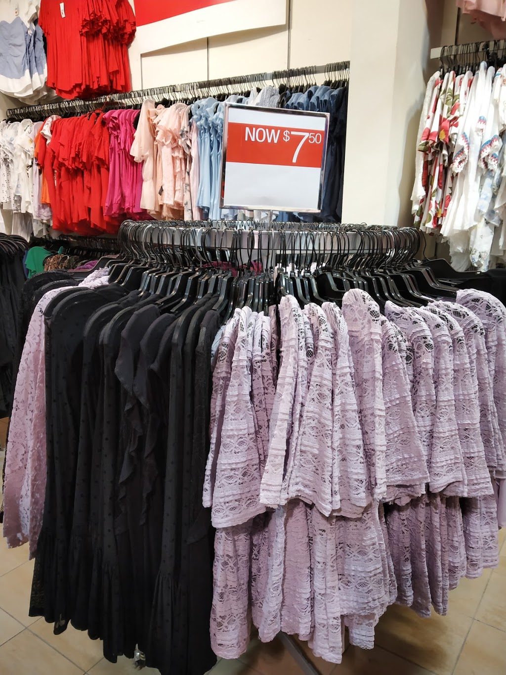 Suzy Shier | 70 Pinebush Rd #4, Cambridge, ON N1R 8K5, Canada | Phone: (519) 620-0521