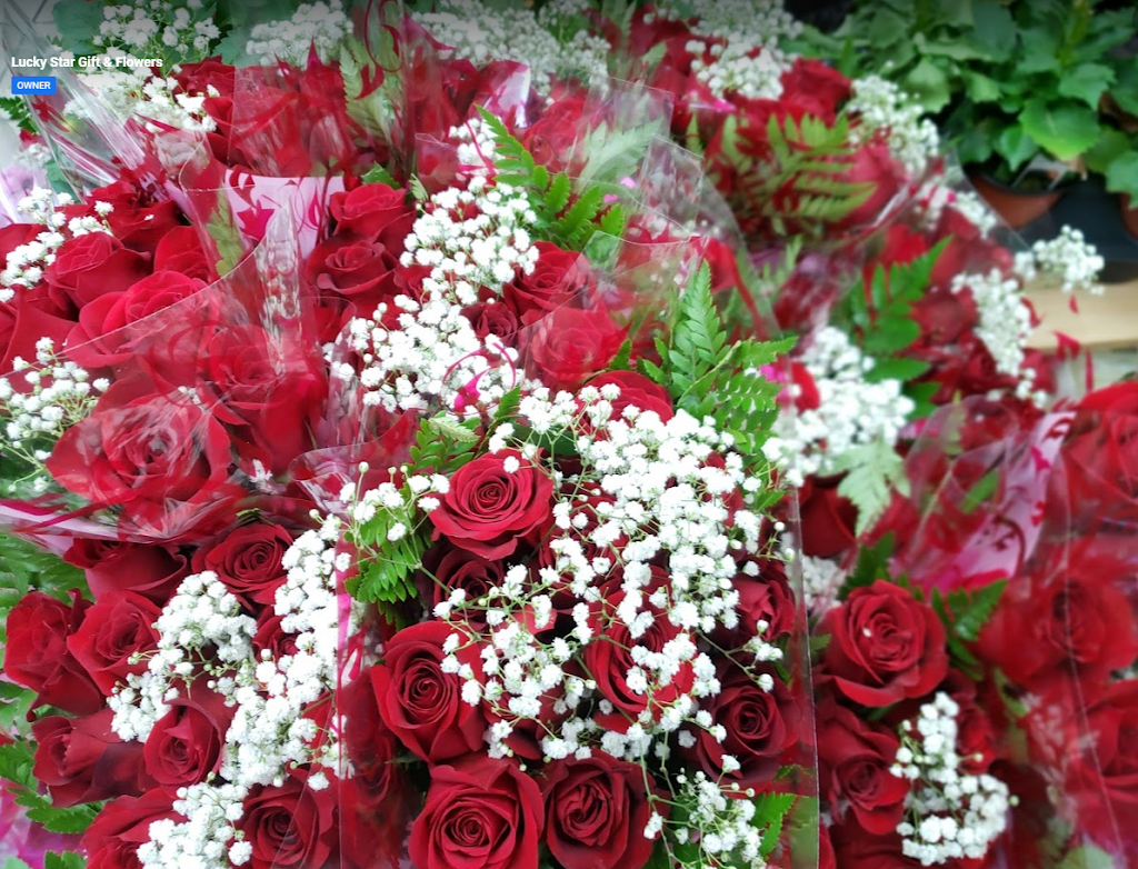 Lucky Star Gift & Flowers | 1648 St Clair Ave W, Toronto, ON M6H 1H8, Canada | Phone: (416) 653-6140