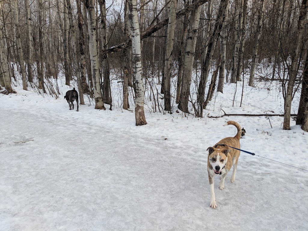 Conroy Pit | Conroy Rd, Ottawa, ON K1T 3S4, Canada | Phone: (613) 239-5000