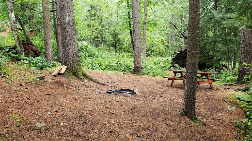 Pilgrims Rest | 23 Cheboutequion Dr, Lakefield, ON K0L 2H0, Canada | Phone: (705) 877-2886