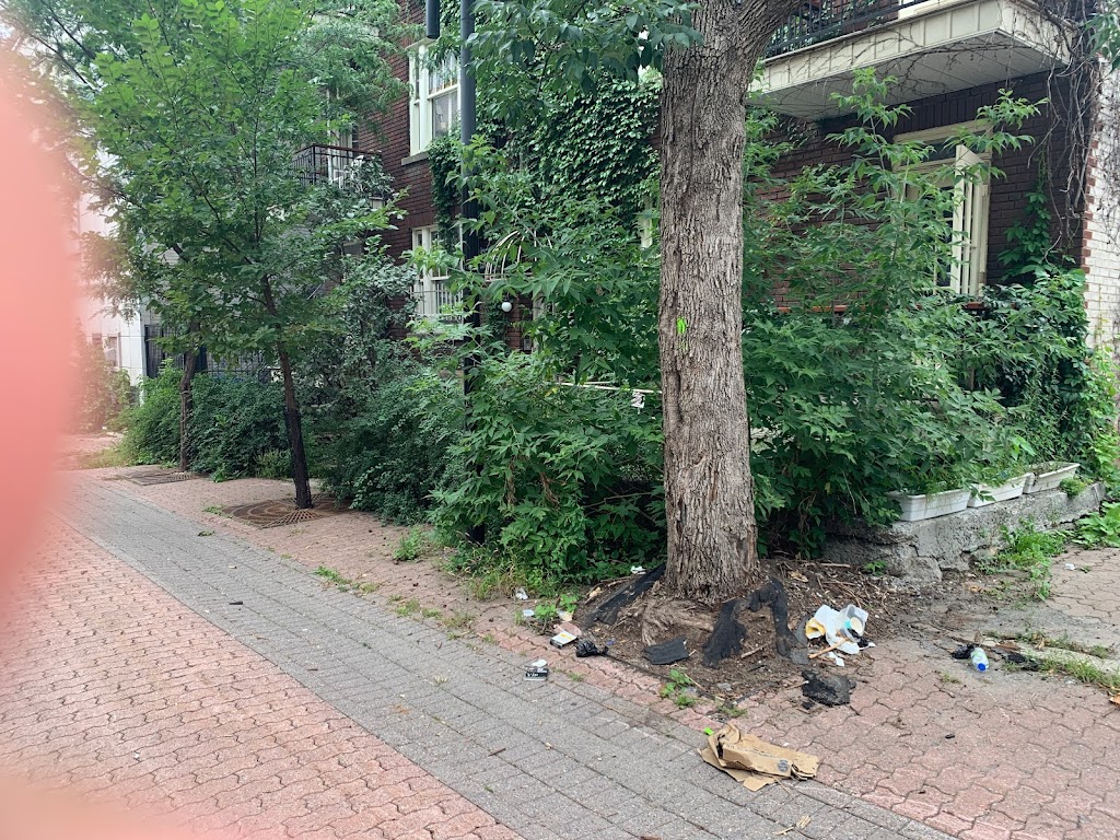 Sergakis | 3433 Rue Notre Dame O, Montréal, QC H4C 1P3, Canada | Phone: (514) 938-1391