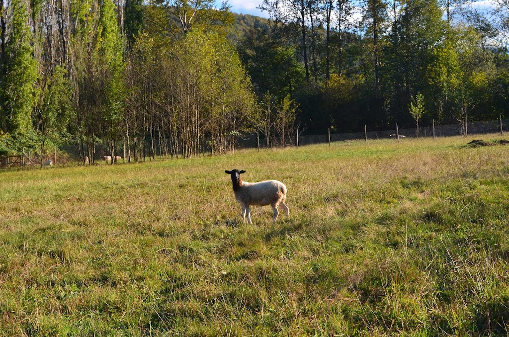 Eco Farming Group | 5876 Lougheed Hwy., Agassiz, BC V0M 1A1, Canada | Phone: (778) 987-1241