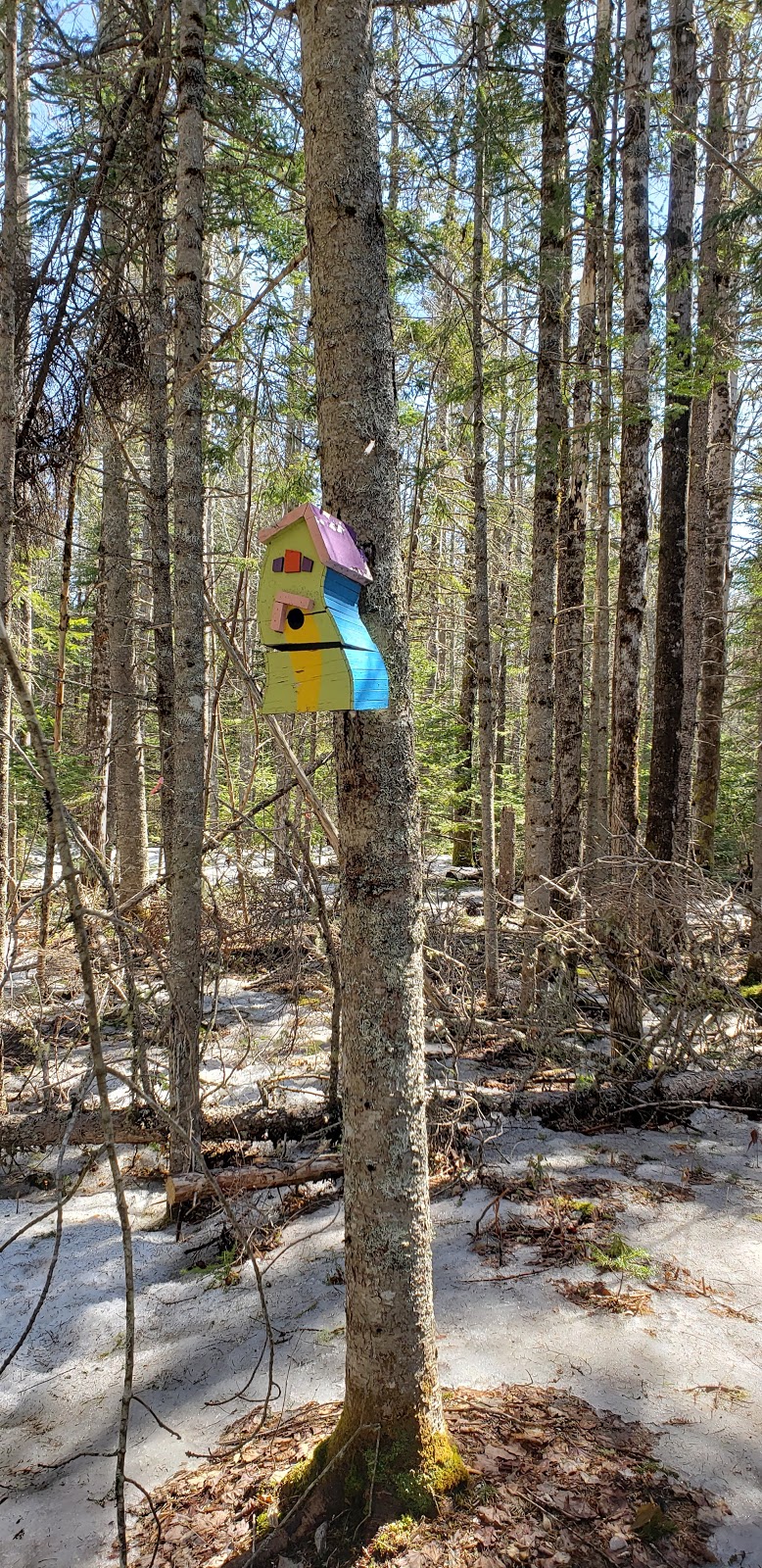 Beck Trail | PE-4, Murray River, PE C0A 1W0, Canada | Phone: (902) 620-0214