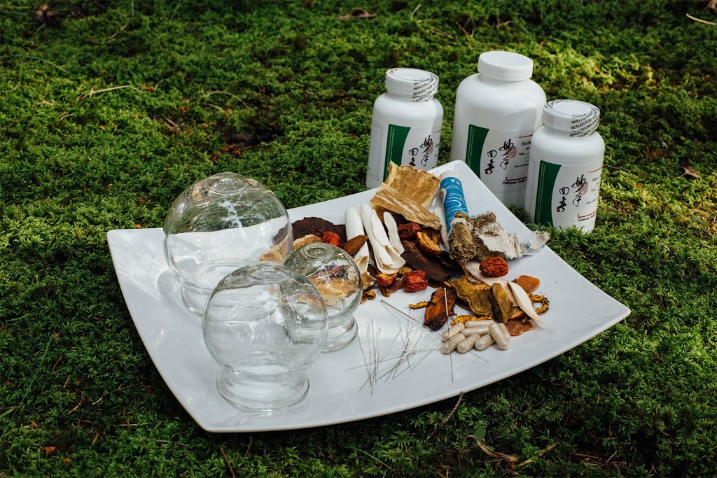 Coleman Smith Chinese Medicine | 6644 Blackcomb Way, Vernon, BC V1B 4E8, Canada | Phone: (250) 309-3192