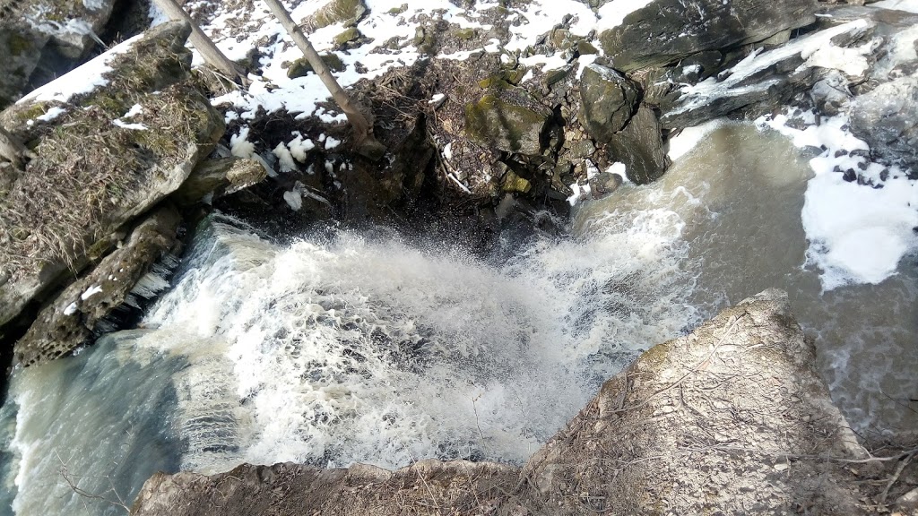 Louth Conservation Area | 3193 Staff Ave, Jordan Station, ON L0R 1S0, Canada | Phone: (905) 788-3135