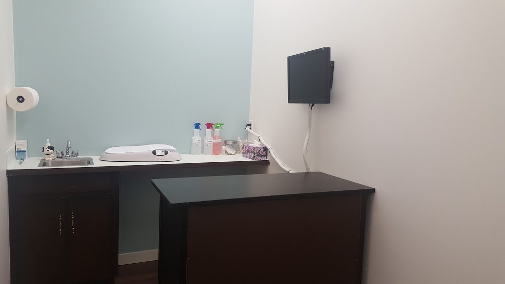 Maillardville Animal Hospital | 1119C Austin Ave, Coquitlam, BC V3K 3P4, Canada | Phone: (604) 939-0800