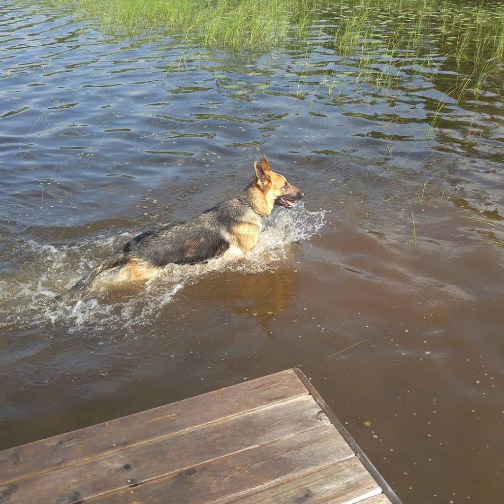 Parc Arpin | 125 Chemin du Lac Arpin, Lantier, QC J0T 1V0, Canada | Phone: (819) 326-2674