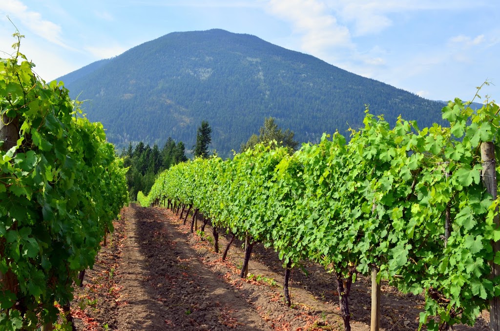 Recline Ridge Vineyards & Winery Ltd | 2640 Skimikin Lake Rd, Tappen, BC V0E 2X3, Canada | Phone: (250) 835-2212