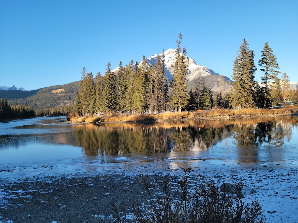 Buffalo Nations Museum | 1 Birch Ave, Banff, AB T1L 1A8, Canada | Phone: (403) 762-2388