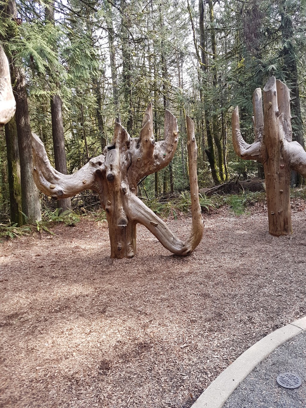 Bright Angel Regional Park | 4528 Tigwell Rd, Duncan, BC V9L 6N2, Canada | Phone: (250) 746-2500