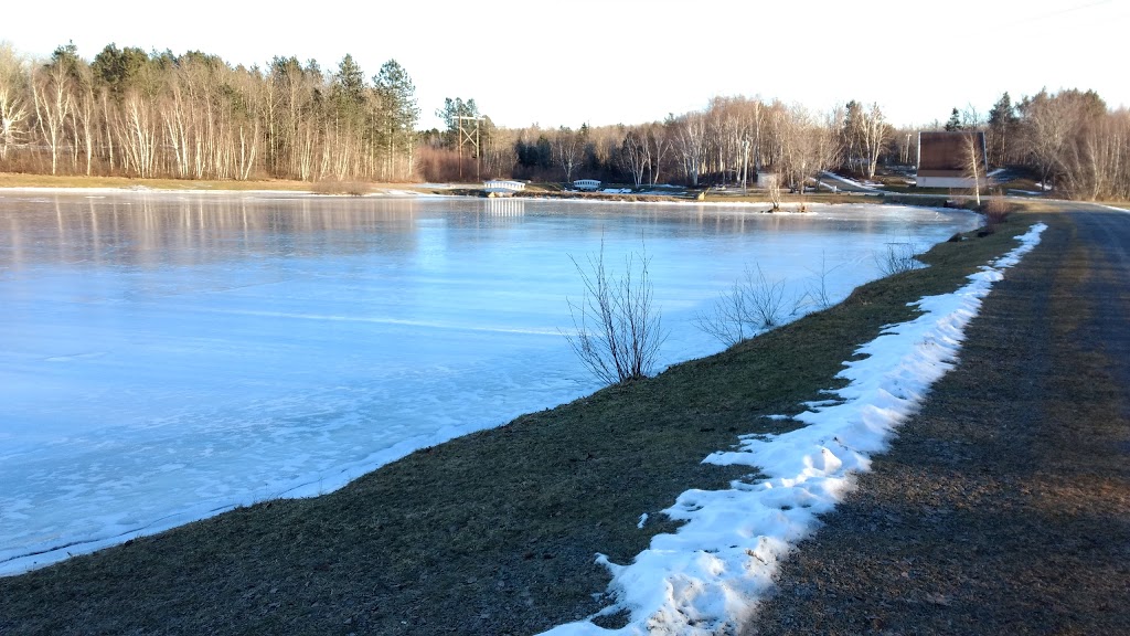 Trenton Rink | 75 Park Rd, Trenton, NS B0K 1X0, Canada | Phone: (902) 752-2382