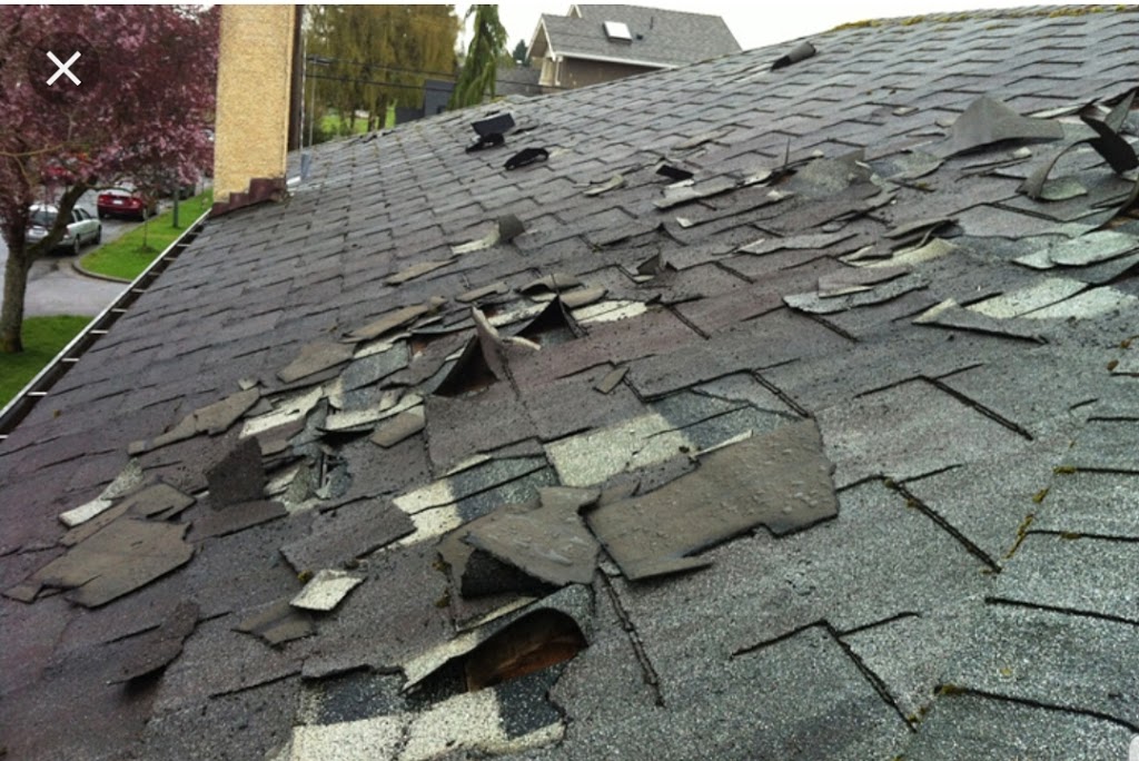 Redbear Contractors | 149 Richardson St, Rockwood, ON N0B 2K0, Canada | Phone: (289) 779-8217
