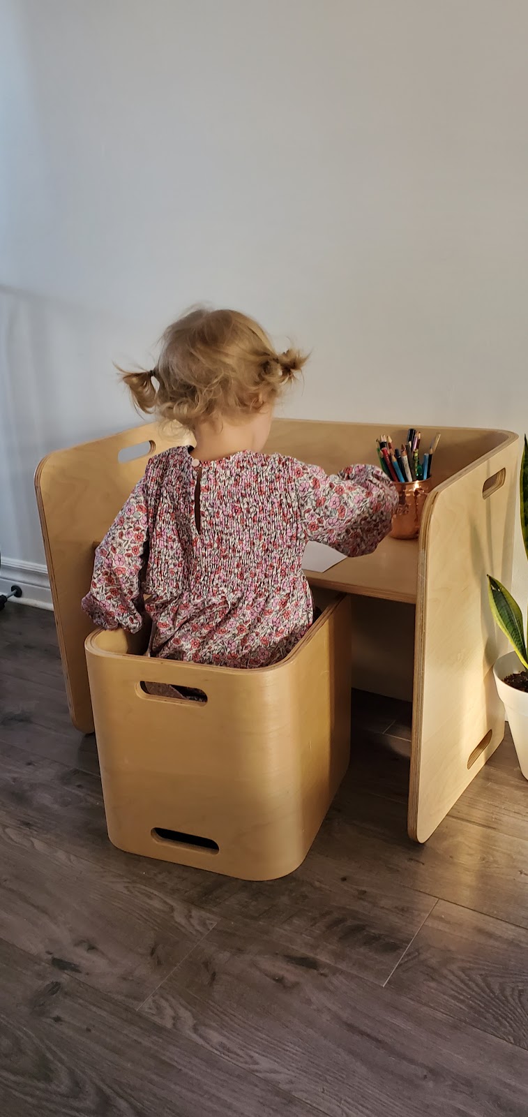 Pillowfort Daycare | 732 Ste Marie St, Collingwood, ON L9Y 4T5, Canada | Phone: (705) 606-0170