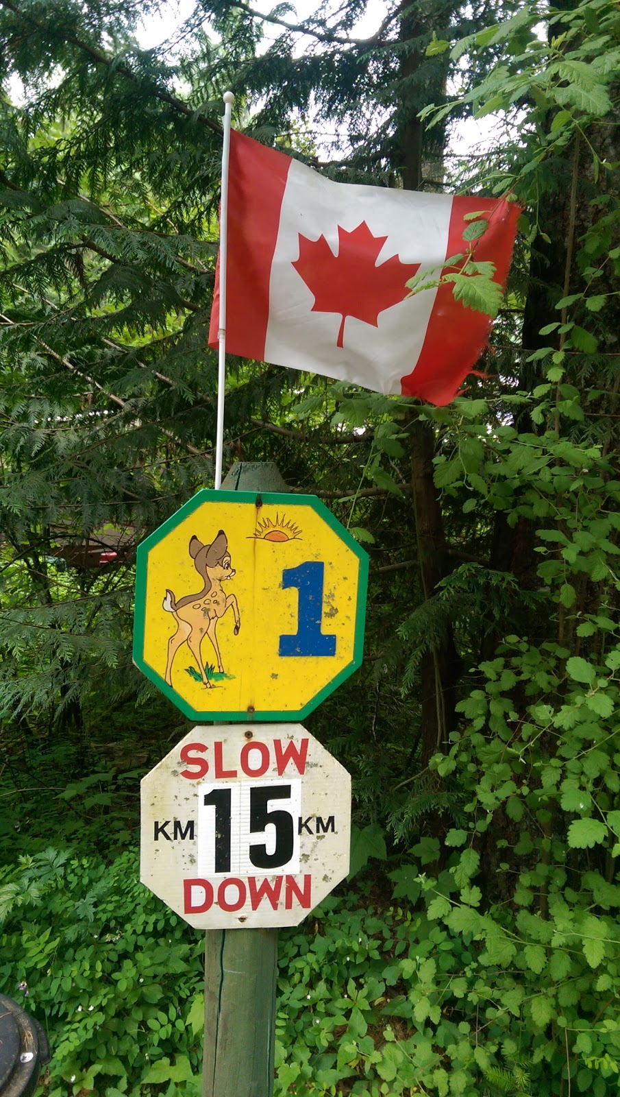 Chemainus River Campground | 8682 Trans-Canada Hwy, Chemainus, BC V0R 1K4, Canada | Phone: (250) 246-9357
