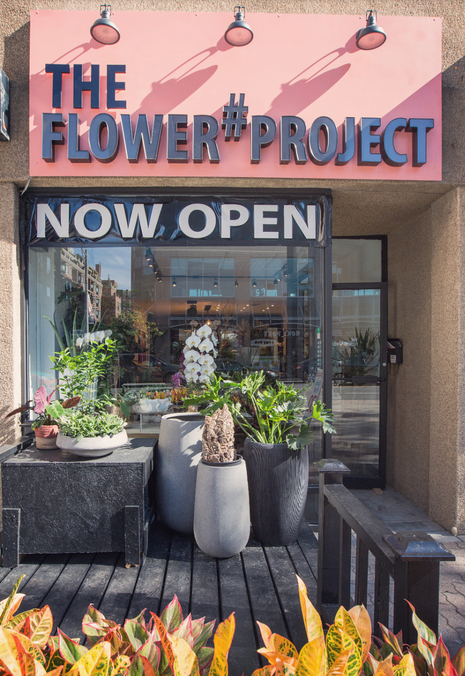 The Flower Project | 1-901 Yonge St, Toronto, ON M4W 2H2, Canada | Phone: (647) 493-1331