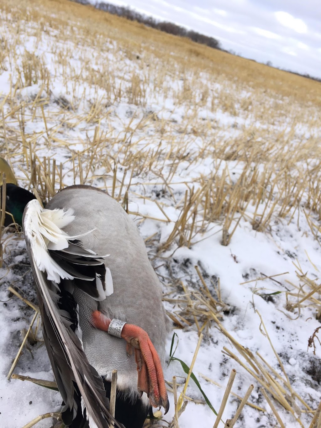 DOA Outfitters | Box 107, Zhoda, MB R0A 2P0, Canada | Phone: (204) 746-5652
