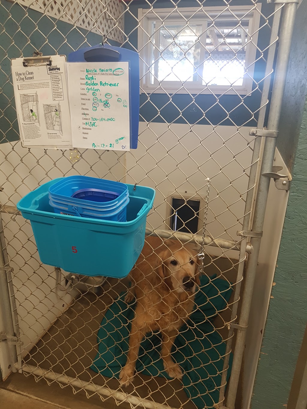 Paws Claws N Tails Kennel | Baildon Farm Road, MAIL TO: P.O.B. 691 BUSHELL PARK,, Baildon, SK S0H 0N0, Canada | Phone: (306) 693-0310