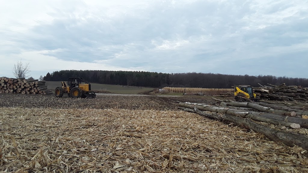 Ebersol Forestry {Firewood-Processing-Logging} | 4805 Line 76, Newton, ON N0K 1R0, Canada | Phone: (226) 751-5388