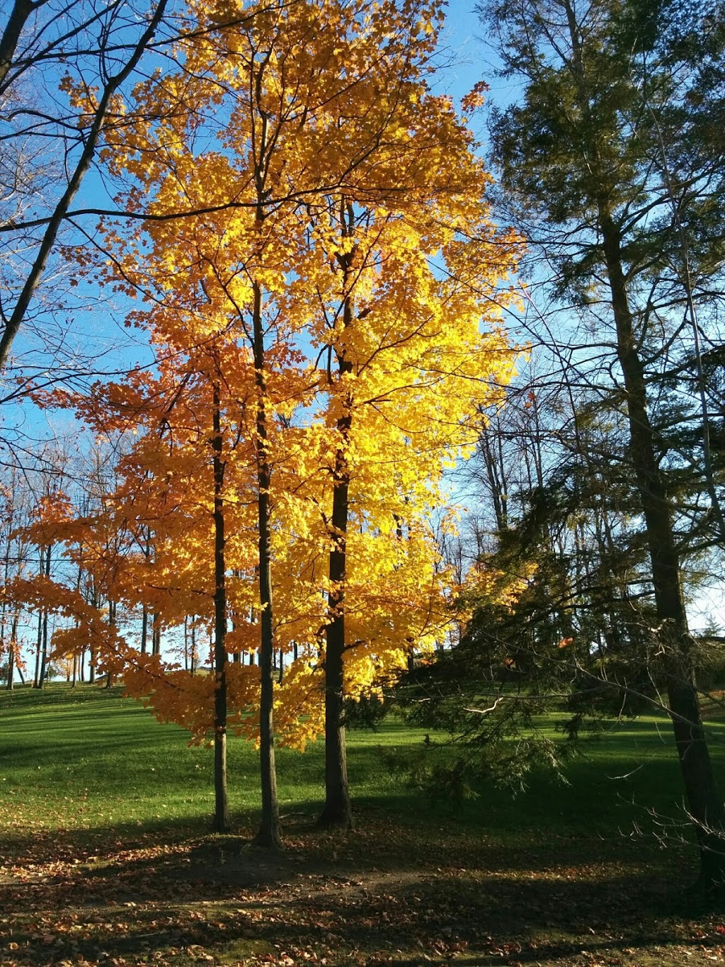 Briar Hill Community Center | 4783 C W Leach Rd, Alliston, ON L9R 2E7, Canada | Phone: (705) 435-8066