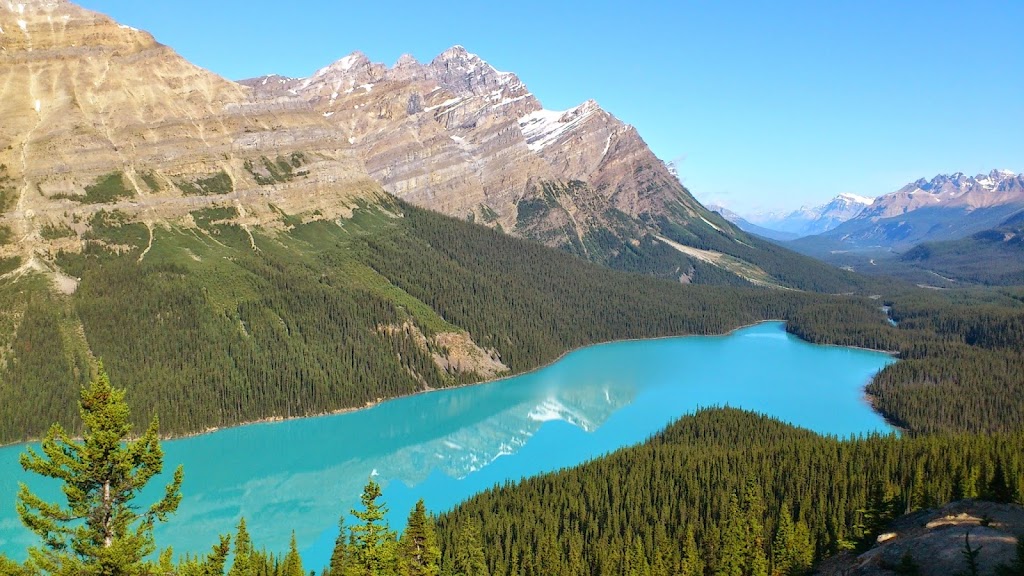 カナディアンロッキー日本語ツアー | 956 Lawrence Grassi Ridge, Canmore, AB T1W 2Z6, Canada | Phone: (403) 609-2936