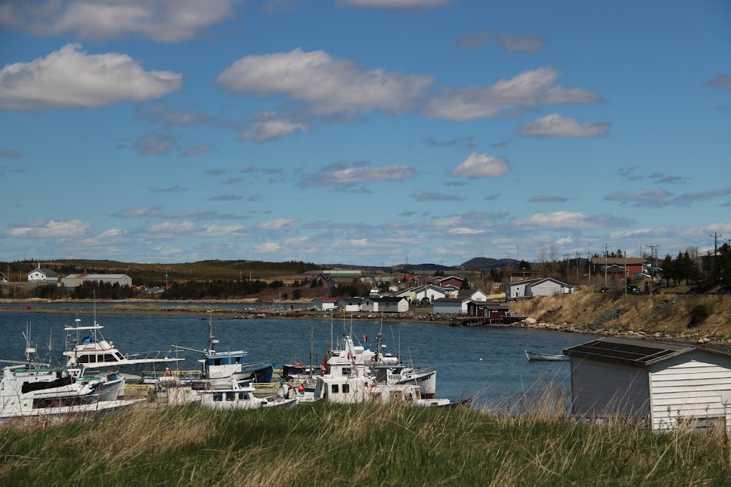 Drake House | 319 Main Rd, Arnolds Cove, NL A0B 1A0, Canada | Phone: (709) 463-2323